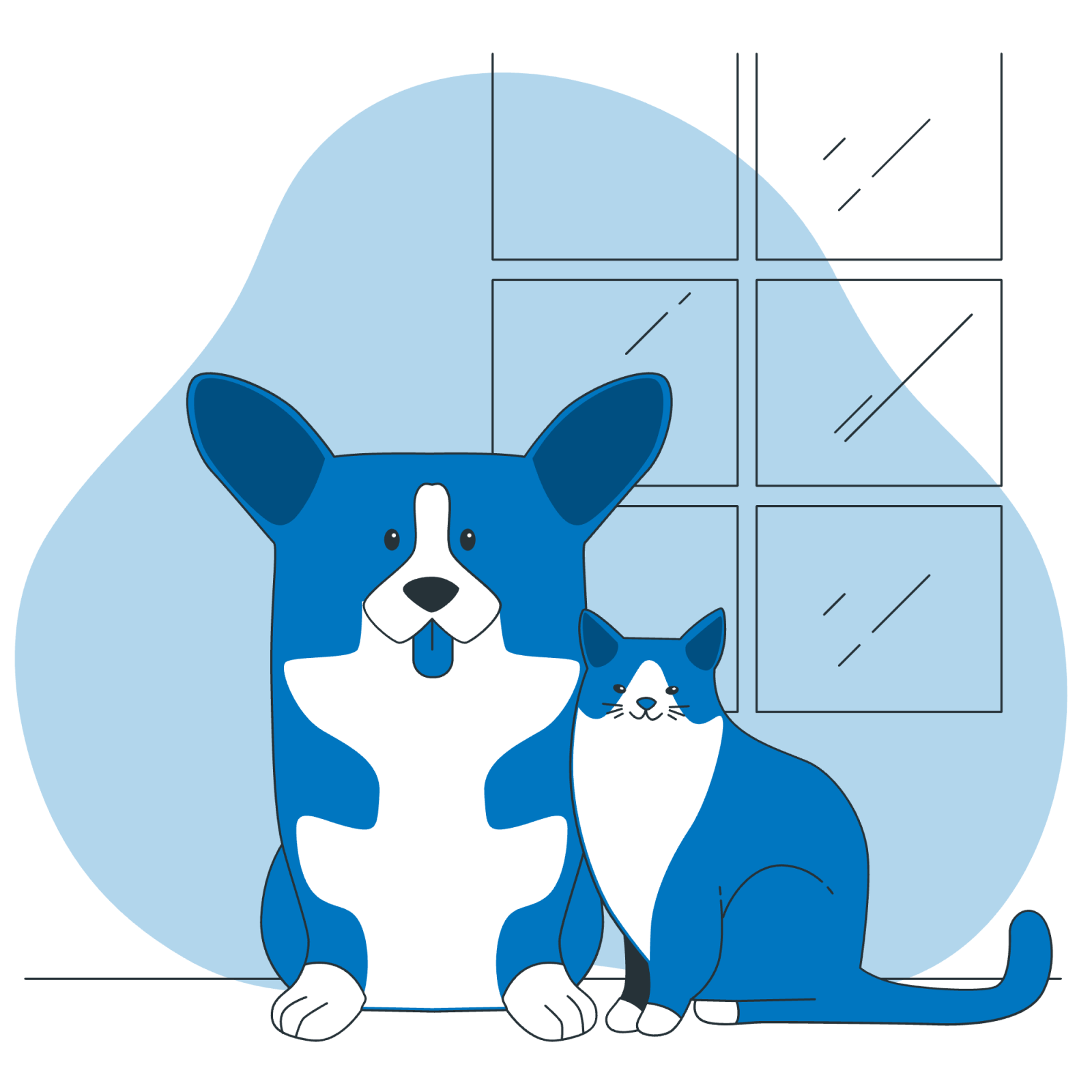 Dog and cat in front of a window